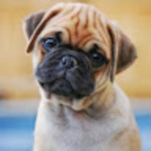 Meet your Posher, Matthews